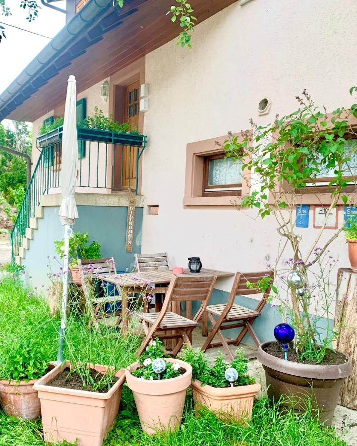 Ferienwohnung Diana Sexau Exterior photo